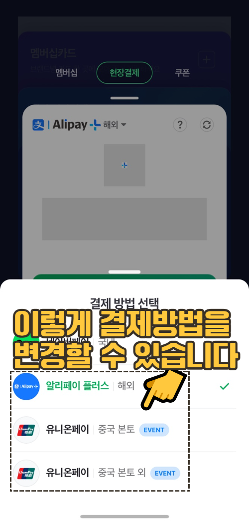 차비)네이버페이로결제하는법 10.png