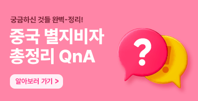 별지비자 완벽 총 -정리 QnA 모음글