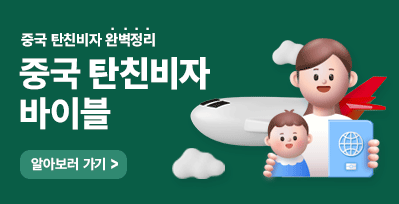 탄친비자 바이블 (기본 정리글)